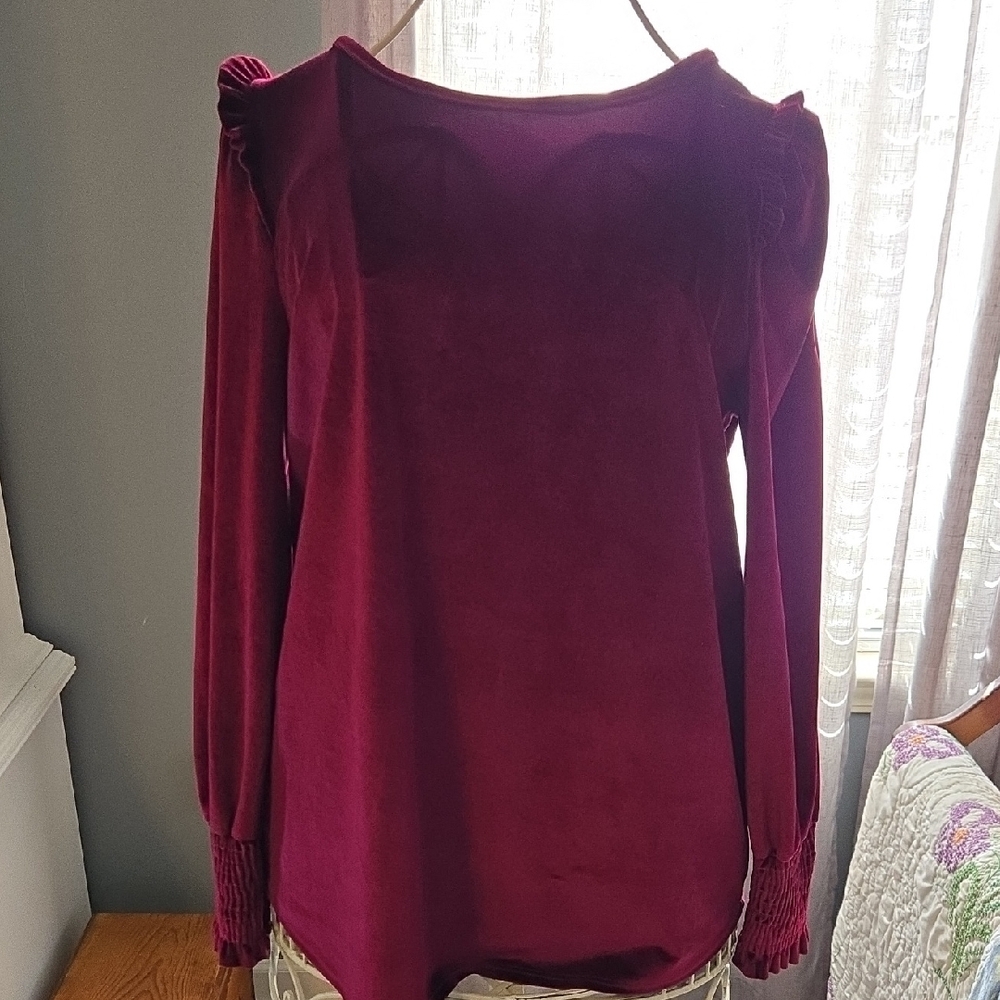 Velvet Long Sleeve Tunic Top in Deep Wine